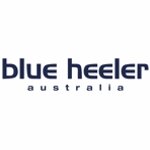  Blue Heeler&nbsp;ist eine junge australische...